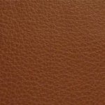 Nutmeg-TCA-008