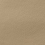 Oats COHCY-9181