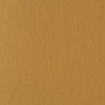 Ochre 539099