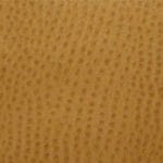 Ochre-TPH-009