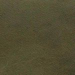 Olive CAFECY-9810