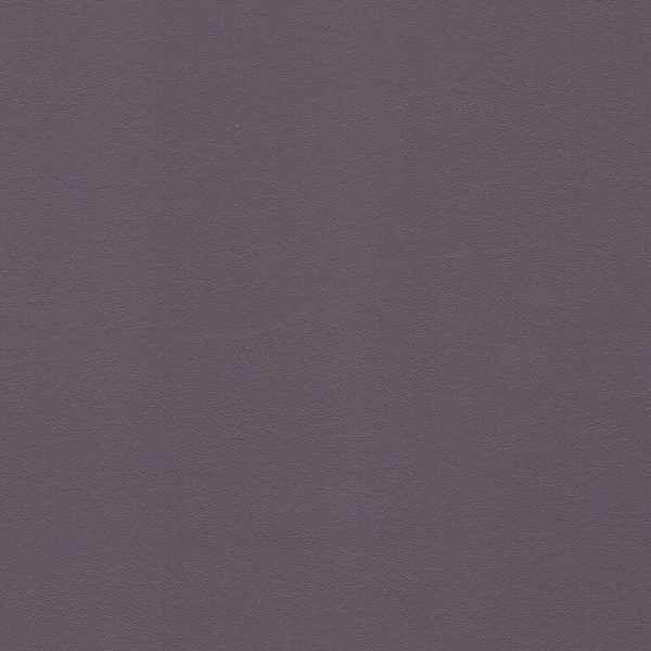 savoy ii Orchid Sav