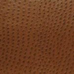 Outback-TPH-010