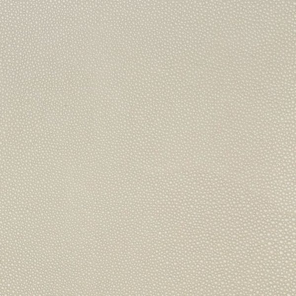 shagreen Oyster Ssh