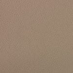 PAPYRUS SCL-029