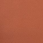 PERSIMMON SCL-030