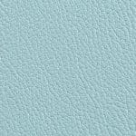 Pale Aqua 515558