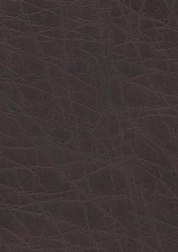 plata Palisander