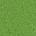 Parakeet 517588