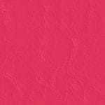 Party Pink 517589