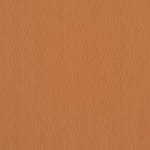 Peach 538861