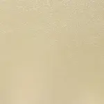 Pearl Oyster PSQ-021