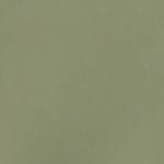 Pistachio SSE-018