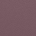 Plum Dusk 514983