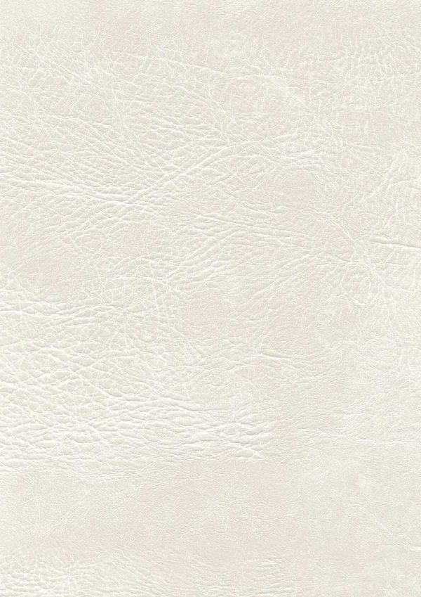 pavinto Polar