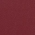 Pomegranate 514940
