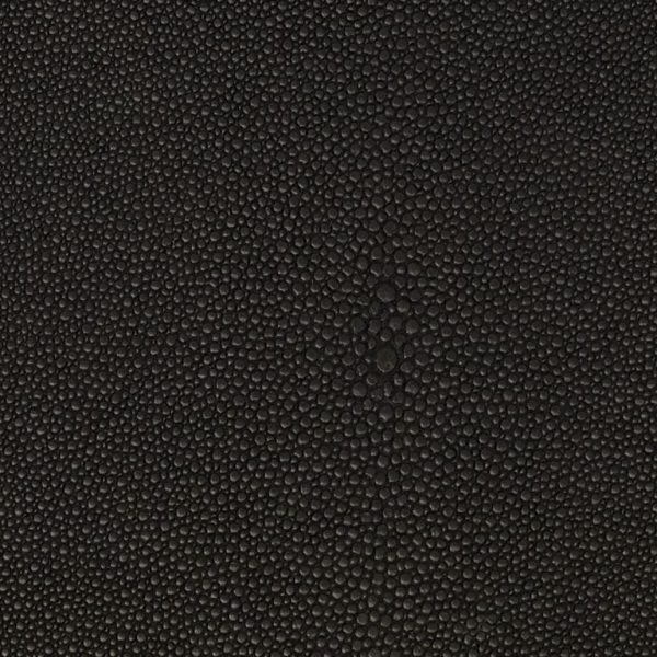 shagreen Poppy Ssh