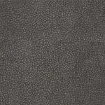 Pumpernickel-TPE-021
