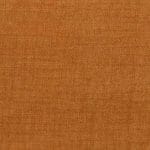 Pumpkin NCOP-21
