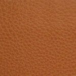 Pumpkin-TCA-009