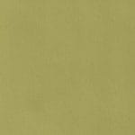 Granny Smith REF-7815