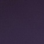 Raisin-WHX-020