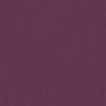 Red Grape 539095