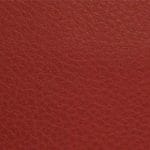 Red Rock-TCA-010
