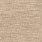 Reed 539573
