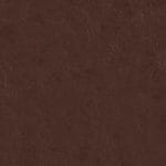Root Beer 517592
