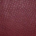 Ruby-TPH-011