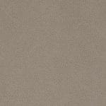 Rye-WTL-014