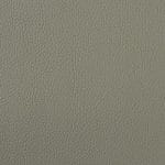 SAGE SCL-036
