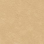 Seashell SEA-0851