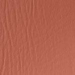 Salmon SF-84