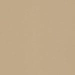 Latte X PB-077722