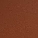 Safflower-SCL-223