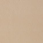 Sand Dollar (Mushroom) 513903