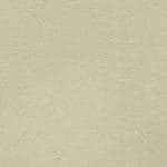 Sand Dollar ARM-117-M