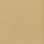 Sandwash SNO-023