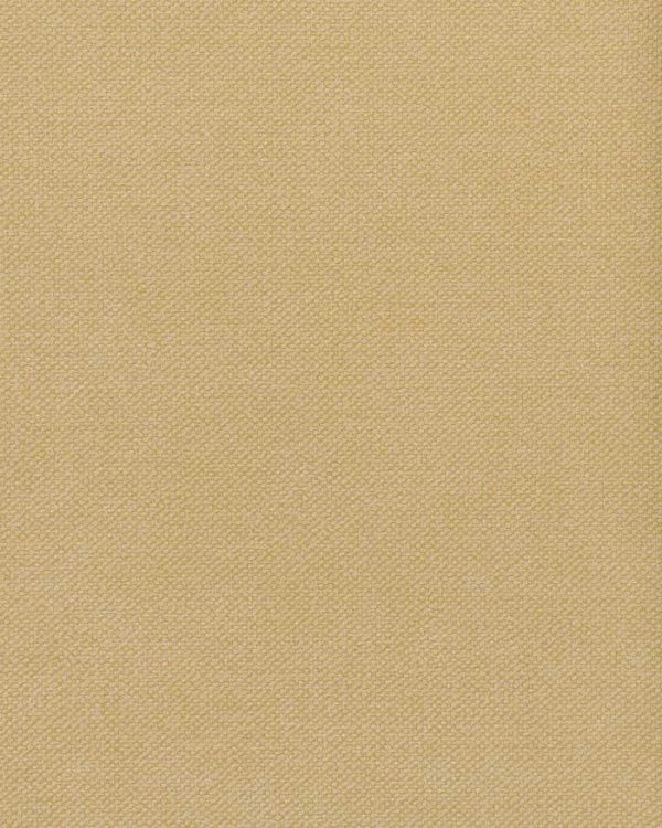 notion Sandwash Sno
