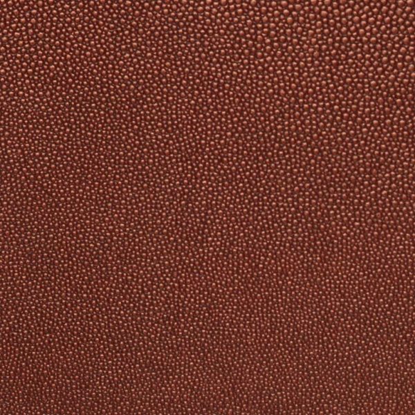 shagreen Sedona Ssh