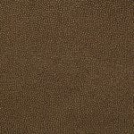 Sepia SSH-010