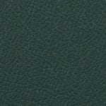 Sequoia 519038