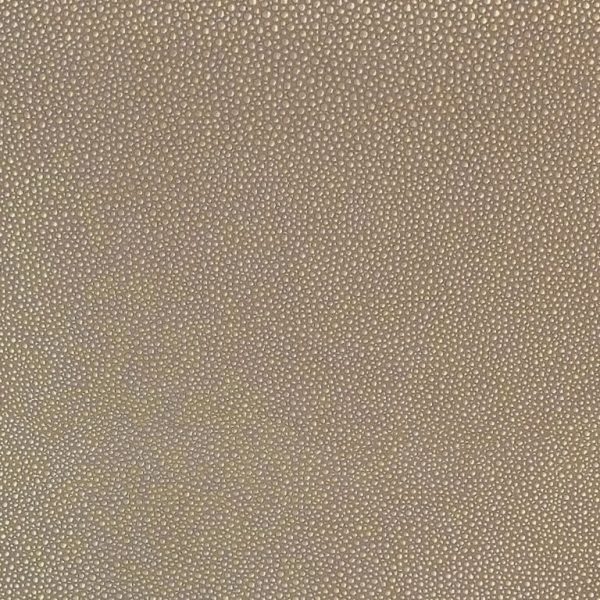 shagreen Sesame Ssh
