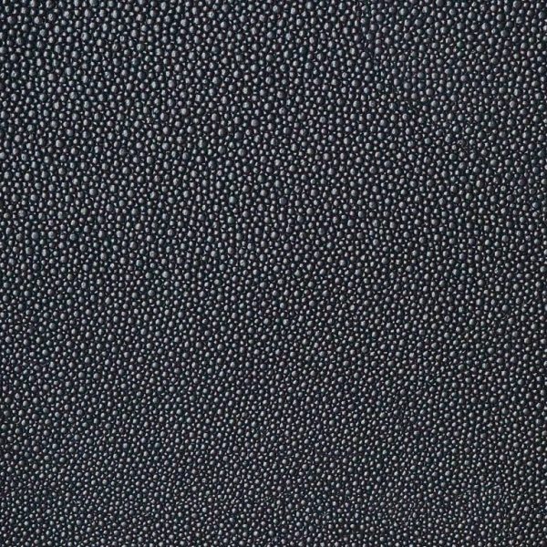 shagreen Shadow Ssh
