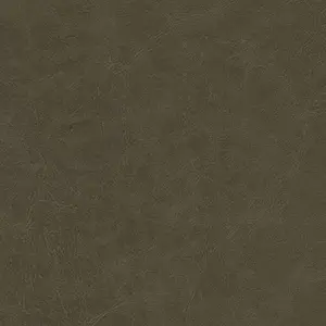 ranger