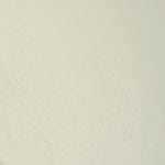 Shell White
