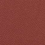 Sienna 517419