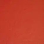 Bahama Bill-25202